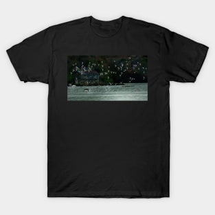 OYSTERS ON THE MENAI STRAITS T-Shirt